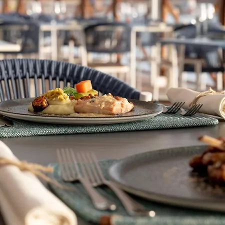 Hotel Agaya Didim